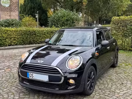 Mini Mini One