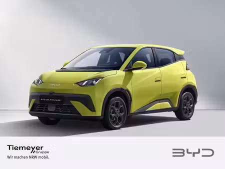 BYD Dolphin 88