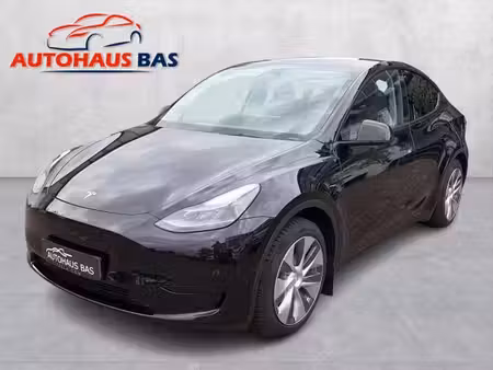 Tesla Model Y Standard 300