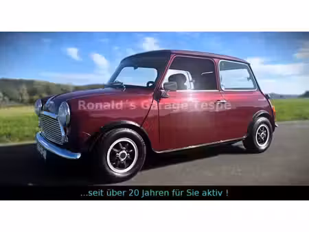 Mini Mini 1.0