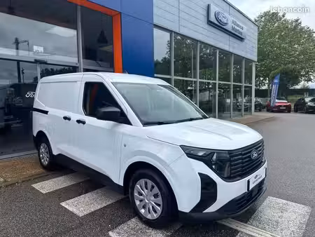 Ford Transit 1.5 100 Trend