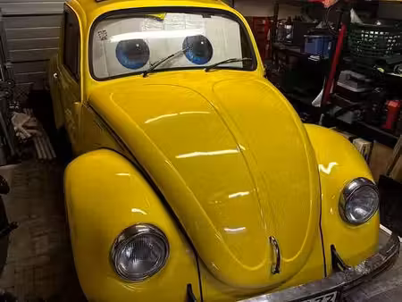 Volkswagen Beetle 