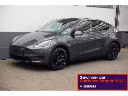 Tesla Model Y Standard 300