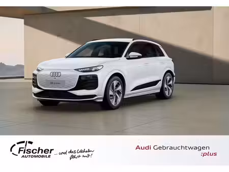 Audi e-tron Business Line