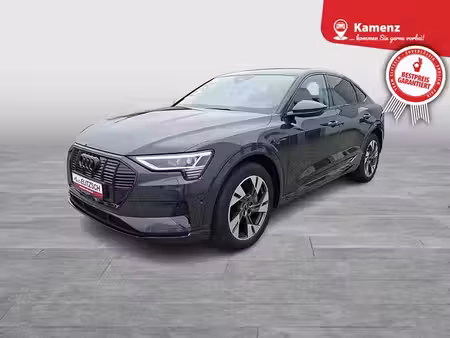 Audi e-tron 313 quattro