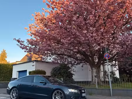 Audi A5 V6 3.0 TDI quattro