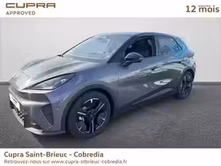 Cupra Raval 