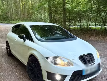 Seat Leon Cupra R310