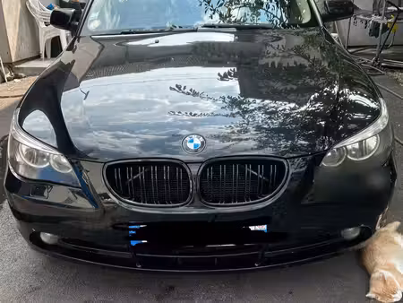 BMW Série 5 530d 3.0 231