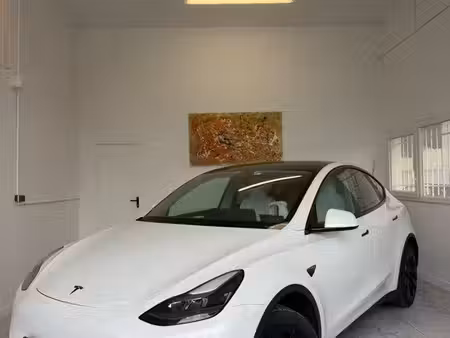 Tesla Model Y Standard 275