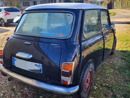 Mini Mini