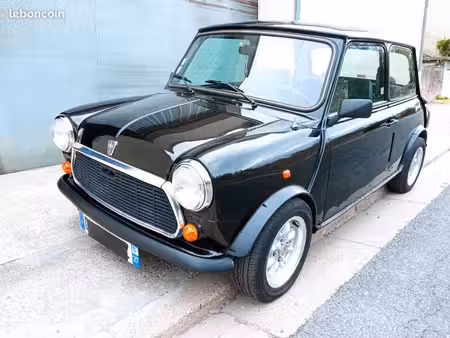 Rover Mini 1.3