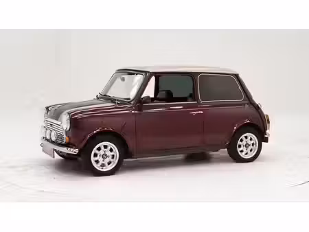 Mini Mini One