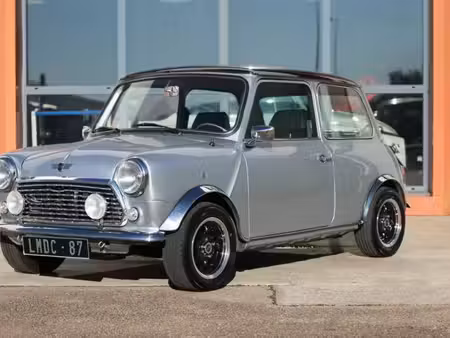 Mini Mini One