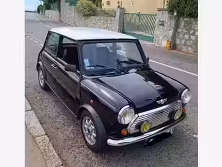 Rover Mini 1.3