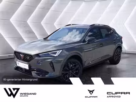 Cupra Formentor VZ 2.0 TSI 310 4x4