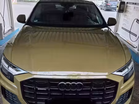 Audi Q8 50 TDI V6 3.0 286 quattro