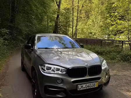 BMW X6 M50d 3.0 381