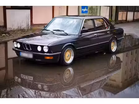 BMW Série 5 525e