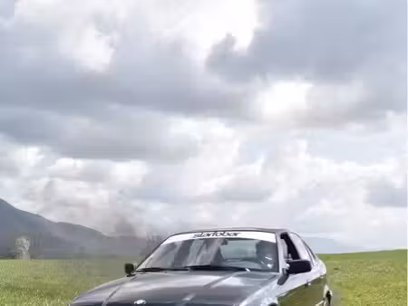 BMW Série 3 325d 2.4 115