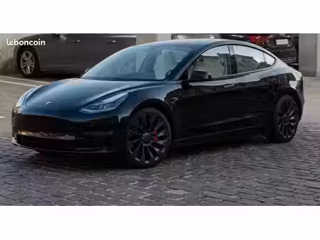 Tesla Model 3 Performance 482 PUP 4x4