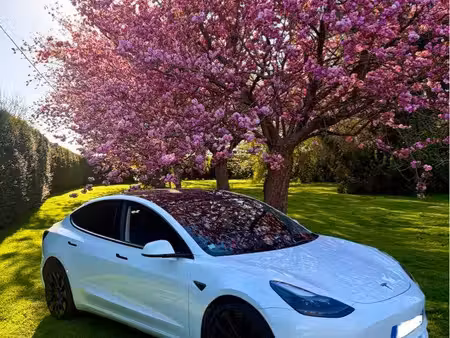 Tesla Model 3 Performance 482 PUP 4x4