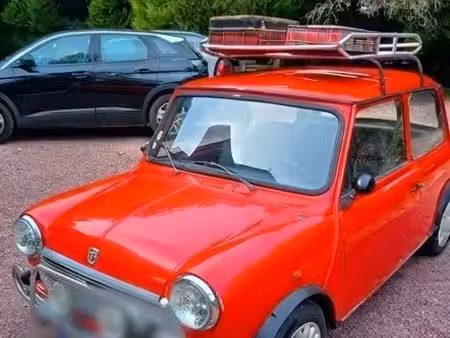 Rover Mini 1.3