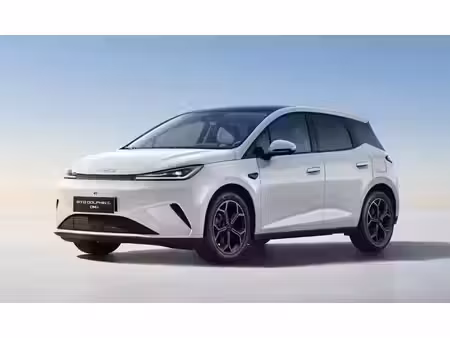 BYD Dolphin 156