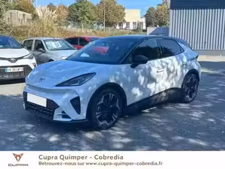 Cupra Raval 211
