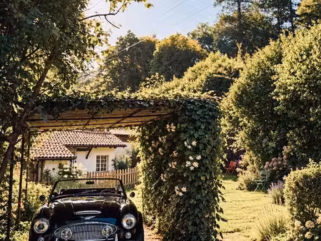Austin-Healey 3000 2.9