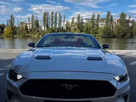 Ford Mustang 2.3 317 Basis