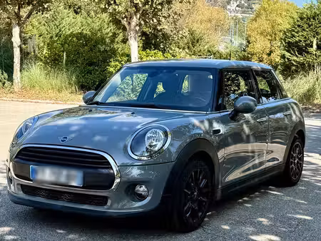 Mini Mini One 102