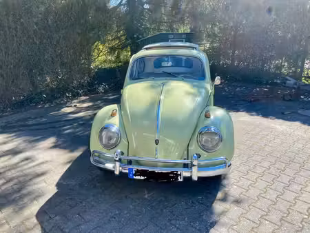 Volkswagen Beetle 