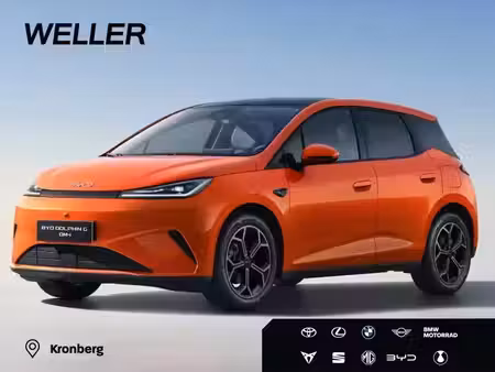 BYD Dolphin 