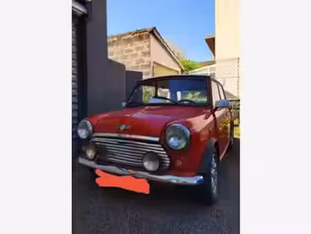 Rover Mini 1.3