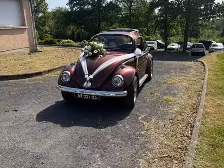 Volkswagen Beetle 