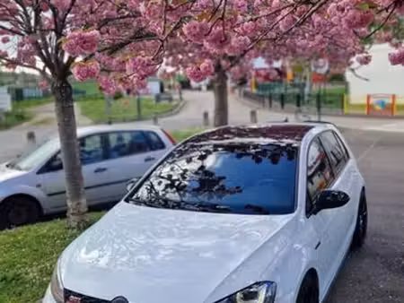 Volkswagen Golf GTI 2.0 TFSI 230