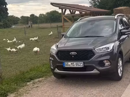 Ford Kuga 1.5 150