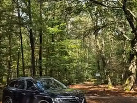 Renault Koleos 2.0 dCi 190 Initiale Paris 4x4
