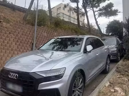 Audi Q8 50 TDI V6 3.0 286 S line quattro
