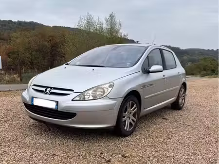 Peugeot 307 2.0 110