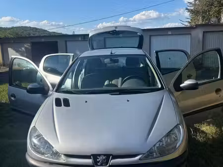 Peugeot 206 1.9 70