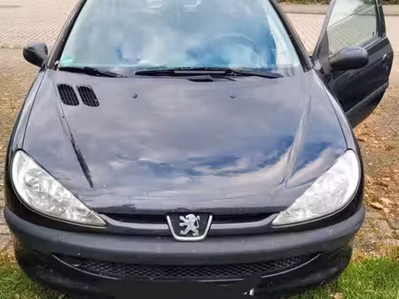 Peugeot 206 1.1 60