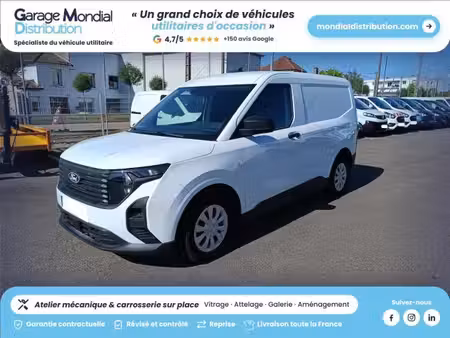 Ford Transit 1.0 EcoBoost 100 Trend