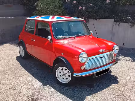 Mini Mini 