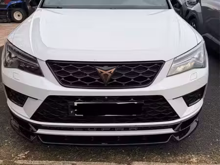 Cupra Ateca 2.0 TSI 300