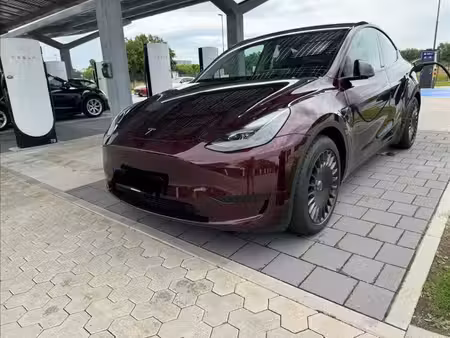 Tesla Model Y Standard 300