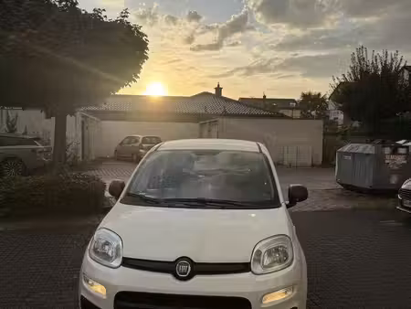 Fiat Panda 1.2 69 Easy