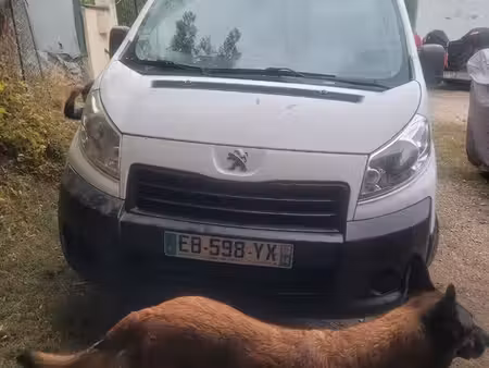 Peugeot Expert 