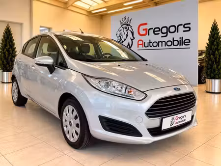 Ford Fiesta 1.0 100 Trend